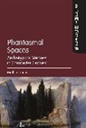 Mathias Fuchs, Mathias (Leuphana University of Luneburg Fuchs, FUCHS MATHIAS - Phantasmal Spaces