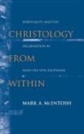 Mark A. McIntosh, Professor Mark A. Mcintosh - Christology from Within