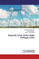 Krishn Murthy N, Krishna Murthy N, Krishna Murthy N., Nandikolmat, Trupti V. Nandikolmath, Ragh Nanjundegowda... - Hazards from Extra High Voltage Lines