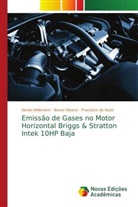 Francisco de Assis, Bruno Silvano, Daniel Willemam - Emissão de Gases no Motor Horizontal Briggs & Stratton Intek 10HP Baja