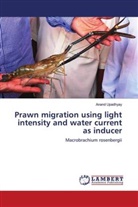 Anand Upadhyay - Prawn migration using light intensity and water current as inducer