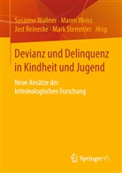 Jost Reinecke, Jost Reinecke u a, Mark Stemmler, Susanne Wallner, Mare Weiss, Maren Weiss - Devianz und Delinquenz in Kindheit und Jugend