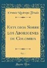 Ernesto Restrepo Tirado - Estudios Sobre los Aborigenes de Colombia, Vol. 1 (Classic Reprint)