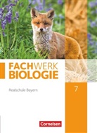 Andreas Miehling, Hannelore Breslawsky, Judith Fischer, Ud Hampl, Udo Hampl, Josef Johannes Zitzmann... - Fachwerk Biologie, Realschule Bayern: Fachwerk Biologie - Realschule Bayern - 7. Jahrgangsstufe