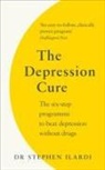 Dr Steve Ilardi, Steve Ilardi - The Depression Cure