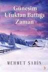 Mehmet Sahin - Günesim Ufuktan Battigi Zaman