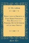P. H. Cochran - Reduction in Growth of Pole-Sized Ponderosa Pine Related to a Pandora Moth Outbreak in Central Oregon (Classic Reprint)