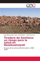 De Lir, Héctor De Lira A., Jorge Albert Juárez Flores, Jorge Alberto Juárez Flores, Raú Pineda S, Raúl Pineda S... - Tiradero de Xochiaca: un riesgo para la salud en Nezahualcóyotl