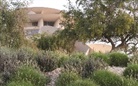 Museum of Qatar - National Museum of Qatar: Museum Guide