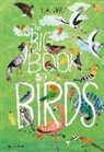 Barbara Taylor, Yuval Zommer - The Big Book of Birds