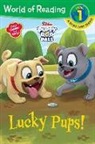 DISNEY BOOK GROUP, Disney Book Group (COR)/ Disney Storybook Art Team, Brooke Vitale, Disney Storybook Art Team - Puppy Dog Pals Lucky Pups, Word Swap Reader