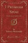 Antonio Ghislanzoni - I Promessi Sposi