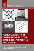Uwe (Deputy Scientific Director Schroeder, Cheol Seong Hwang, Hiroshi Funakubo, Hiroshi (Professor Funakubo, Funakubo Hiroshi, Cheol Seong Hwang... - Ferroelectricity in Doped Hafnium Oxide