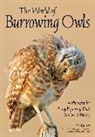 Rob Palmer - Burrowing Owls
