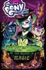 Ted Anderson, Jeremy Whitley, Tony Fleecs, Agnes Garbowska, Toni Kuusisto, Andy Price - My Little Pony: Friendship is Magic Volume 16