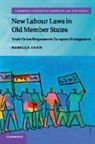 Rebecca Zahn, Rebecca (University of Strathclyde) Zahn, Zahn Rebecca - New Labour Laws in Old Member States
