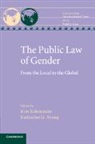 Kim Rubenstein, Kim (Australian National University Rubenstein, Kim Rubenstein, Kim (Australian National University Rubenstein, Rubenstein Kim, Katharine G. Young... - Public Law of Gender