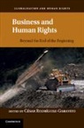 Cesar Rodriguez-Garavito, Cesar A. Rodriguez-Garavito, Cesar Rodriguez-Garavito, César Rodriguez-Garavito, Cesar A. Rodriguez-Garavito - Business and Human Rights