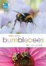 Richard Comont - RSPB Spotlight Bumblebees
