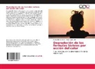 Evangelina Sanchez, Helga Sager - Degradación de las formulas lácteas por acción del calor