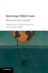Juan Pablo Bohoslavsky, Juan Pablo Raffer Bohoslavsky, Juan Pablo Bohoslavsky, Bohoslavsky Juan Pablo, Kunibert Raffer, Raffer Kunibert - Sovereign Debt Crises