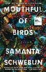 Megan McDowell, Samanta Schweblin - Mouthful of Birds