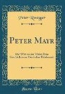 Peter Rosegger - Peter Mayr