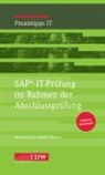 Marti Lamm, Martin Lamm, Martin Mannes, Andreas Schneider, Institu der Wirtschaftsprüfer in Deutsch, Institut der Wirtschaftsprüfer in Deutsch... - SAP®-IT-Prüfung im Rahmen der Abschlussprüfung
