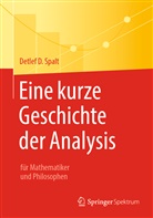 Detlef D Spalt, Detlef D. Spalt - Eine kurze Geschichte der Analysis