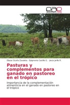 EPIGMENI CASTILLO G, EPIGMENIO CASTILLO G, EPIGMENIO CASTILLO G., Epigmenio Castillo Gallegas, Jari, Jesús Jarillo R.... - Pasturas y complementos para ganado en pastoreo en el trópico