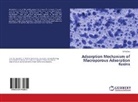 Song Lou - Adsorption Mechanism of Macroporous Adsorption Resins