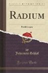 Johannes Schlaf - Radium: Erzählungen (Classic Reprint)