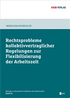 Magdalena Mißbichler - Rechtsprobleme kollektivvertraglicher Regelungen zur Flexibilisierung der Arbeitszeit