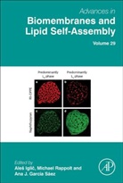 Ales (Faculty of Electrical Engineering Iglic, Ana Garcia-Saez, Ana (Interfaculty Institute for Biochemistry (IFIB) Garcia-Saez, Ana (Professor Garcia-Saez, Ana (University of Cologne Garcia-Saez, Ana J. (Professor Garcia-Saez... - Advances in Biomembranes and Lipid Self-Assembly
