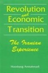 Hooshang Amirahmadi - Revolution and Economic Transition