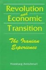 Hooshang Amirahmadi - Revolution and Economic Transition