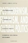 Henry A Giroux, Henry A. Giroux - Postmodernism, Feminism, and Cultural Politics