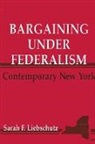 Sarah F Liebschutz, Sarah F. Liebschutz - Bargaining Under Federalism