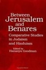 Hananya Goodman - Between Jerusalem and Benares: Comparative Studies in Judaism and Hinduism