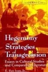 E. San Juan Jr - Hegemony and Strategies of Transgression: Essays in Cultural Studies and Comparative Literature