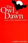 Andrew Cutrofello - The Owl at Dawn