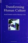 Jay Earley - Transforming Human Culture: Social Evolution and the Planetary Crisis