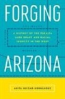 Anita Huizar-Hernandez, Anita Huizar-Hernández - Forging Arizona