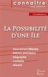 Michel Houellebecq - Fiche de lecture La Possibilité d'une île (Analyse littéraire de référence et résumé complet)