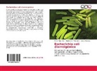 Elizabeth Miliwebsky, Elizabeth S Miliwebsky, Elizabeth S. Miliwebsky, Luis A Pianciola, Luis A. Pianciola, Mart Rivas... - Escherichia coli diarreigénico
