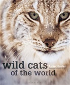 Luke Hunter, Hunter Luke, Priscilla Barrett - Wild Cats of the World