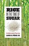 Louis A. Perez Jr., Louis A. Perez, Louis A. Jr. Pérez, Louis A. Perez Jr, Louis A. Pérez Jr. - Rice in the Time of Sugar