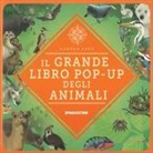 Hannah Pang, Jenny Wren - Il grande libro pop-up degli animali