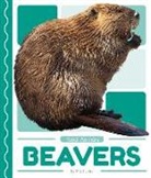 Lilley, Matt Lilley - Beavers