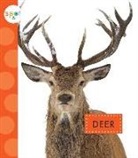 Mari C. Schuh - Deer